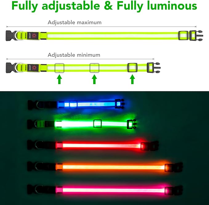 Vizpet LED Dog Collar, Light Up Dog Collar Adjustable USB Rechargeable Super Bright Safety Light