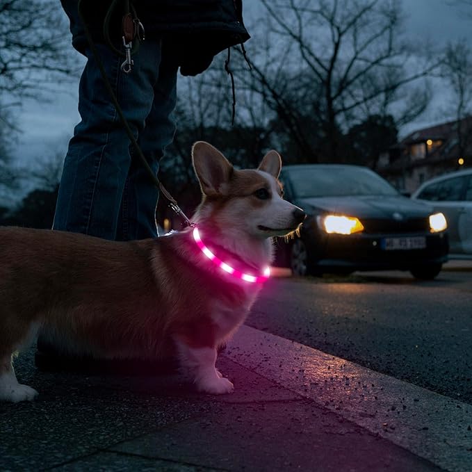 HIGO LED Dog Collar, Silicone Lightweight Light Up Dog Collars, USB Rechargeable LED Dog Necklace