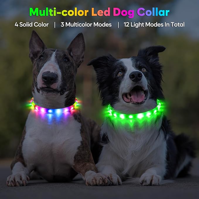 Flashseen LED Dog Collar, USB Rechargeable Glowing Lighted Up Collar, Cuttable Water-Resistant TPU