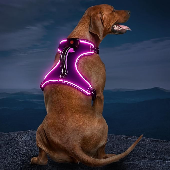 Light Up Dog Harness, No Pull LED Dog Harness with Handle, Rechargeable Lighted Safety Vest for