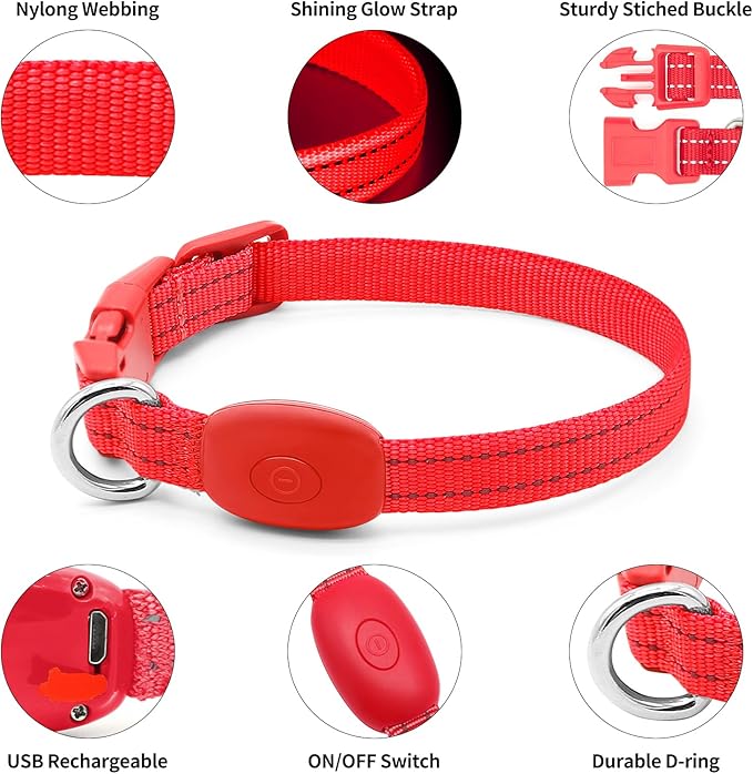 Illumifun Light Up Collar for Small Dogs, USB Rechargeable LED Dog Collar Glow in The Dark