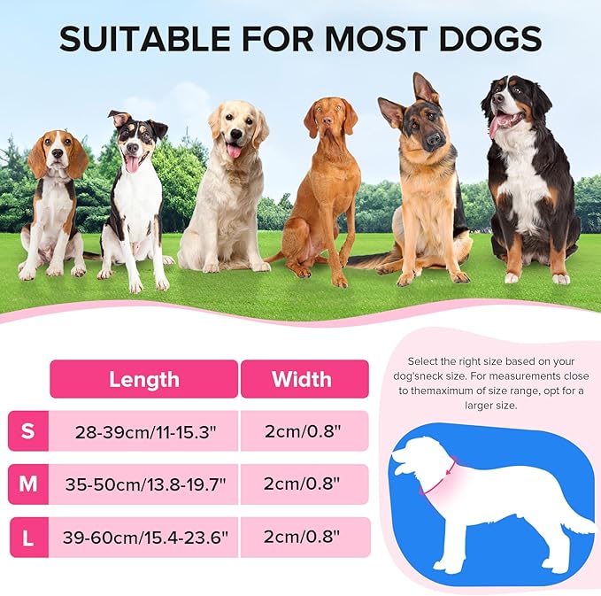 Light Up Dog Collar, Adjustable USB Rechargeable Glow in Dark Dog Collar ，Waterproof Dog Collars