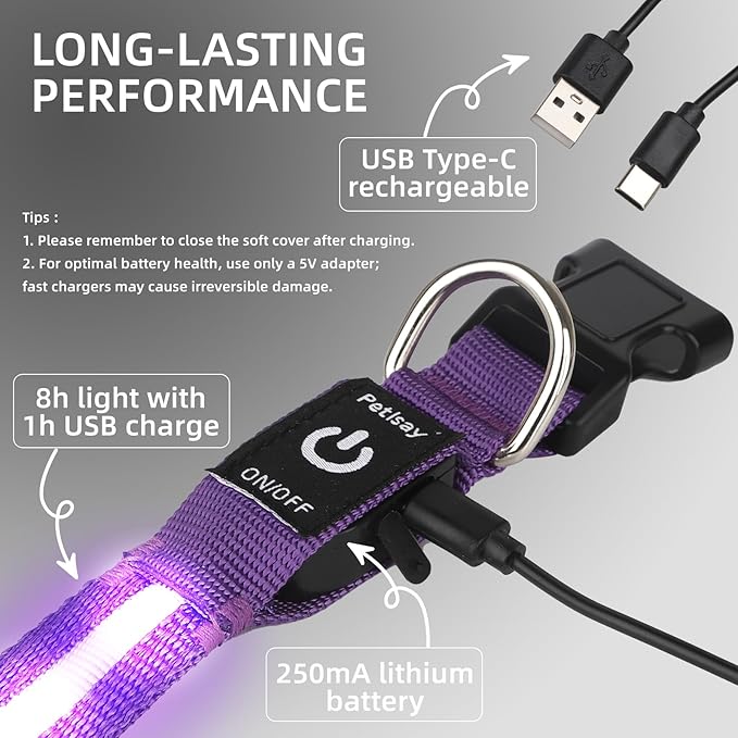 Super Bright LED Dog Collar - Fully Waterproof & Adjustable Glow Collar - USB-C Rechargeable for