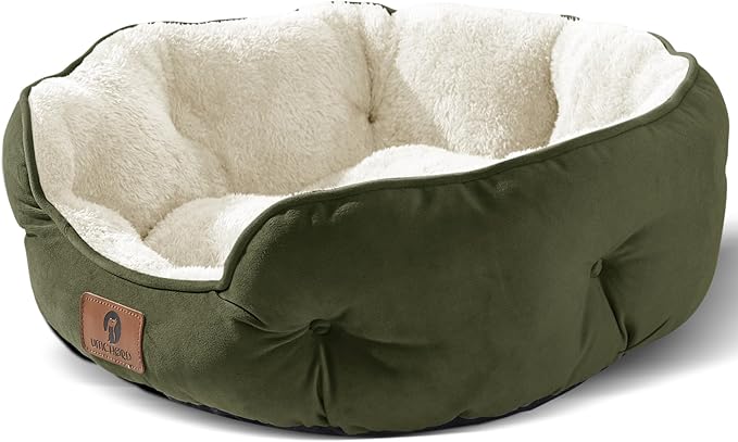 Asvin Small Dog Bed for Small Dogs, Cat Beds for Indoor Cats, Pet Bed for Puppy and Kitty, Extra
