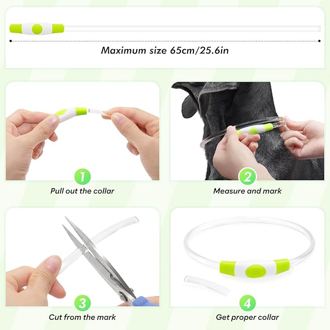 BSEEN Light Up Dog Collar - LED Dog Collar Rechargeable, Glowing Pet Collars for Small Medium Large