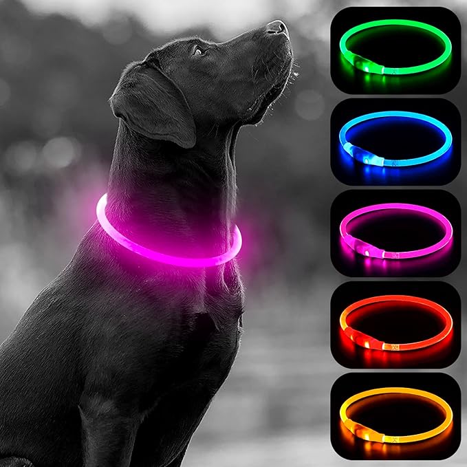 HIGO LED Dog Collar, USB Rechargeable Light Up Dog Collars Glow in The Dark, Waterproof LED Dog
