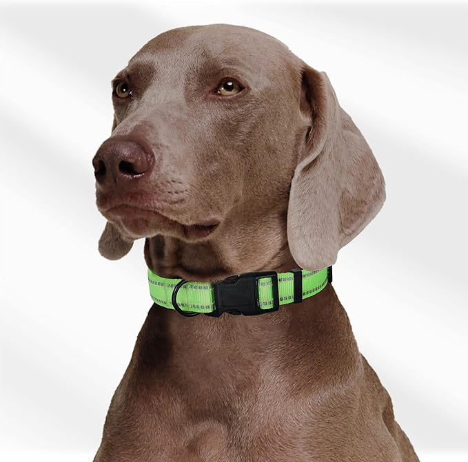 Mile High Life Reflective Dog Collar, Basic Dog Collars Adjustable Quick Release, Soft Nylon Pet