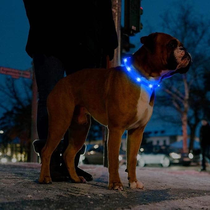 HIGO Light Up Dog Collar - 2-Pack Silicone LED Rechargeable, Safety Light, Glow in The Dark Lighted