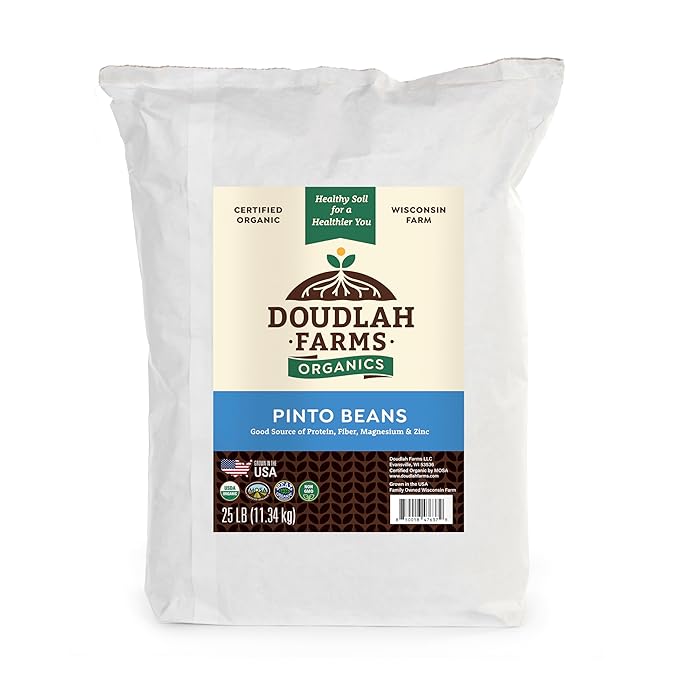 Organic Dried Pinto Beans 25 lb bulk - Non-GMO, Tested Clean Certified, Vegan - Rich in Fiber &
