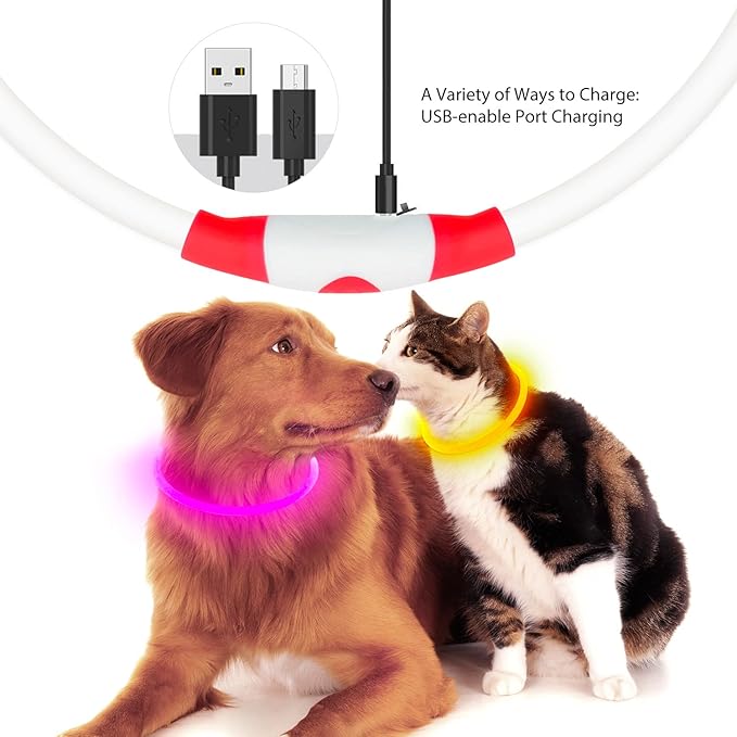 Flashseen LED Dog Collar, USB Rechargeable Glowing Lighted Up Collar, Cuttable Water-Resistant TPU