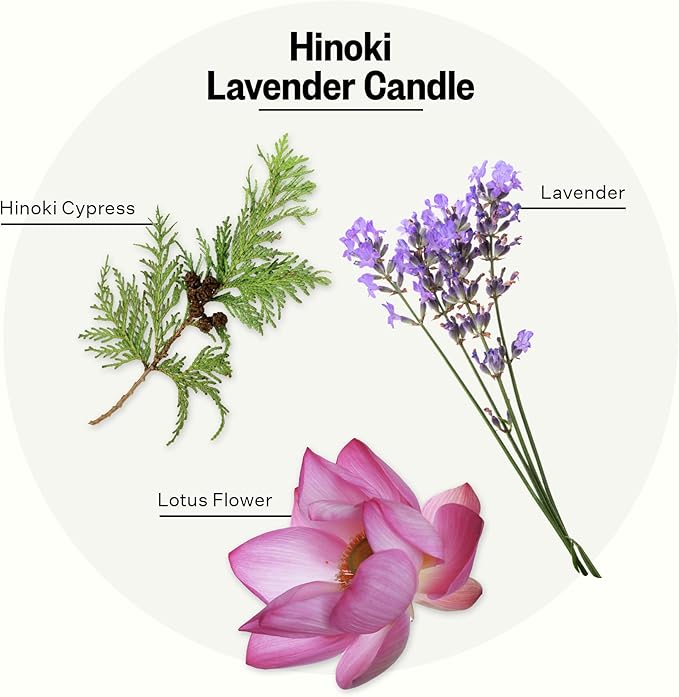 Apotheke 3-Wick Scented Candles for Home, Hinoki Lavender - 26 oz Soy Wax Jar Candle Gift for Women