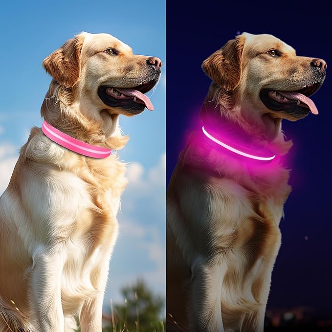Light Up Dog Collar, Adjustable USB Rechargeable Glow in Dark Dog Collar ，Waterproof Dog Collars