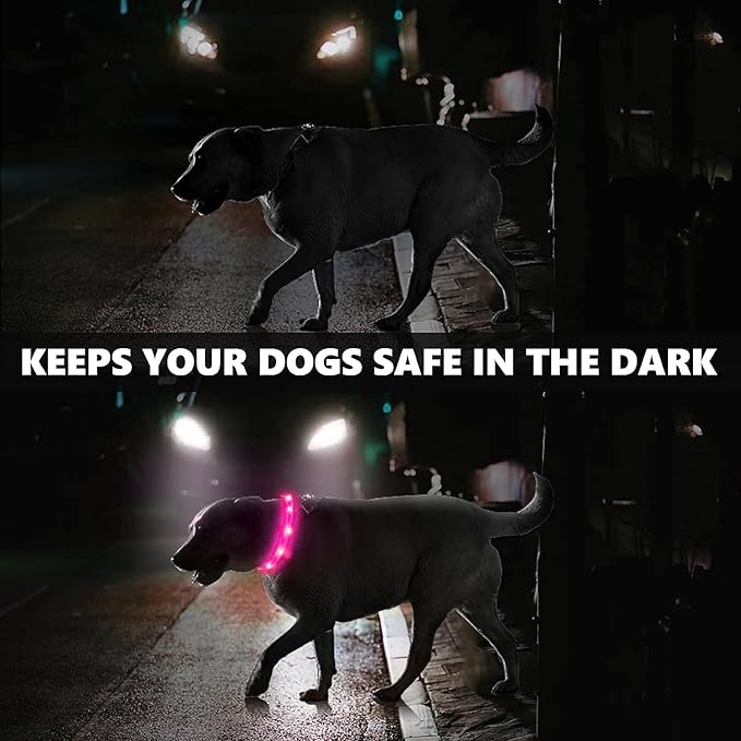 2 Pack LED Dog Collar, Rechargeable Light Up Dog Collars, Dog Collar for Night Walking, Improved