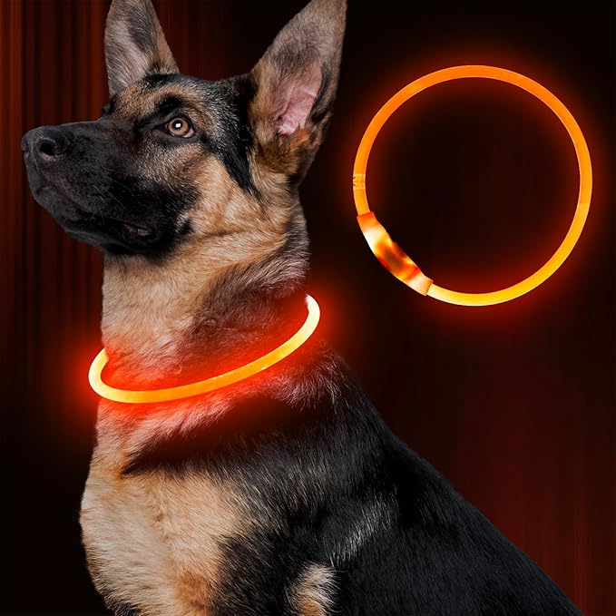 Led Dog Collar, BSEEN USB Rechargeable Flash Dog Necklace Light, Pet Safety Collar Makes Your