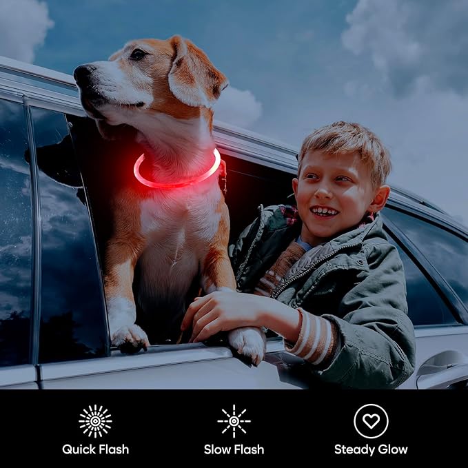 Flashseen LED Dog Collar, USB Rechargeable Glowing Lighted Up Collar, Cuttable Water-Resistant TPU