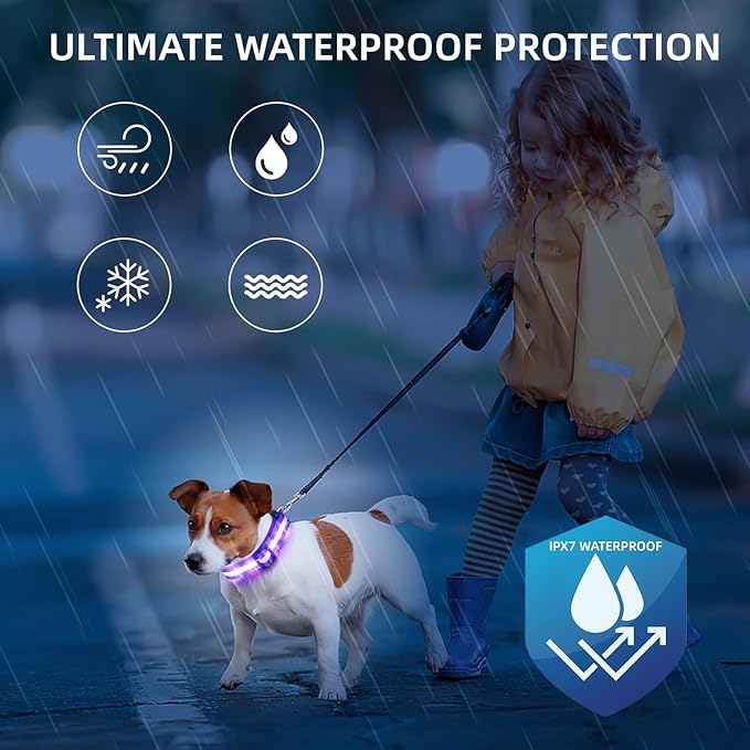 Super Bright LED Dog Collar - Fully Waterproof & Adjustable Glow Collar - USB-C Rechargeable for