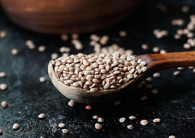 Food to Live Whole Red Lentils, 25 Pounds ??Dry Raw Beans, Sproutable, Vegan, Kosher, Bulk. Easy to