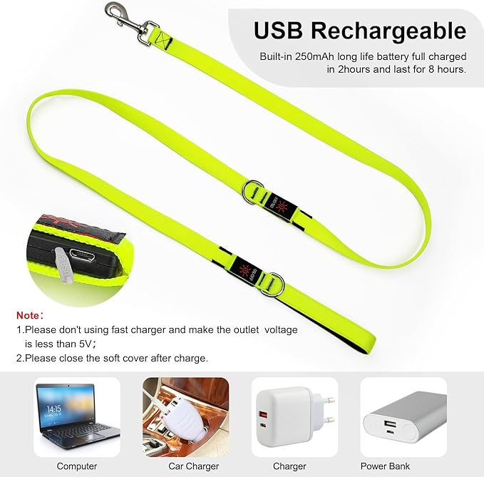 Colaseeme Light Up Dog Leash, LED Pet Leashes USB Rechargeable, Glow Safety Dogs Lights at Night