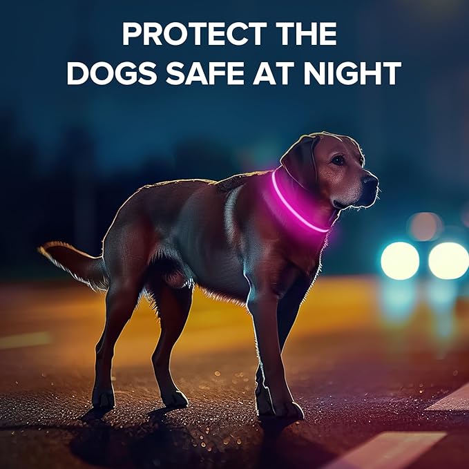 Light Up Dog Collar, Adjustable USB Rechargeable Glow in Dark Dog Collar ，Waterproof Dog Collars