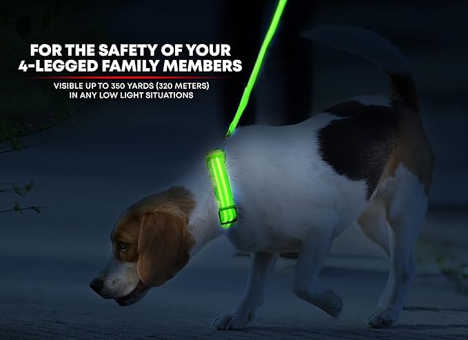 Illumiseen LED Dog Collar USB Rechargeable - Bright & High Visibility Lighted Glow Collar for Pet