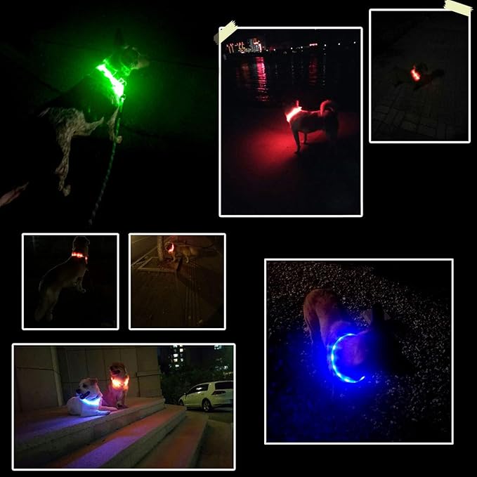 LED Dog Collar,USB Rechargeable Glowing Dog Collars, Light Up Collar Improved Pet Safety