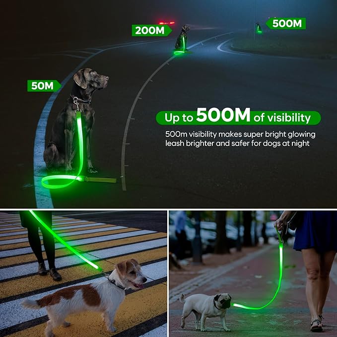 LED Dog Leash, Light Up Dog Leash 4 Ft Fully Illuminated USB Rechargeable Waterproof, Nylon