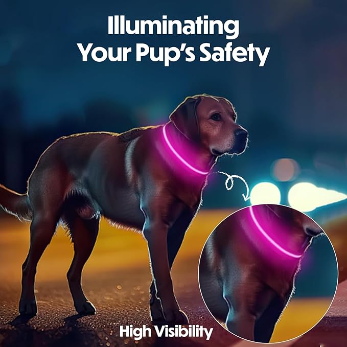 Light Up Dog Collar ??Reflective, Adjustable & Rechargeable Electronic Glow Pet Collars ??Bright