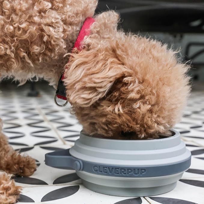 Nomad Small Collapsible Dog Bowl - 2 Cup Food-Safe Silicone Travel Bowl for Dogs, Portable &
