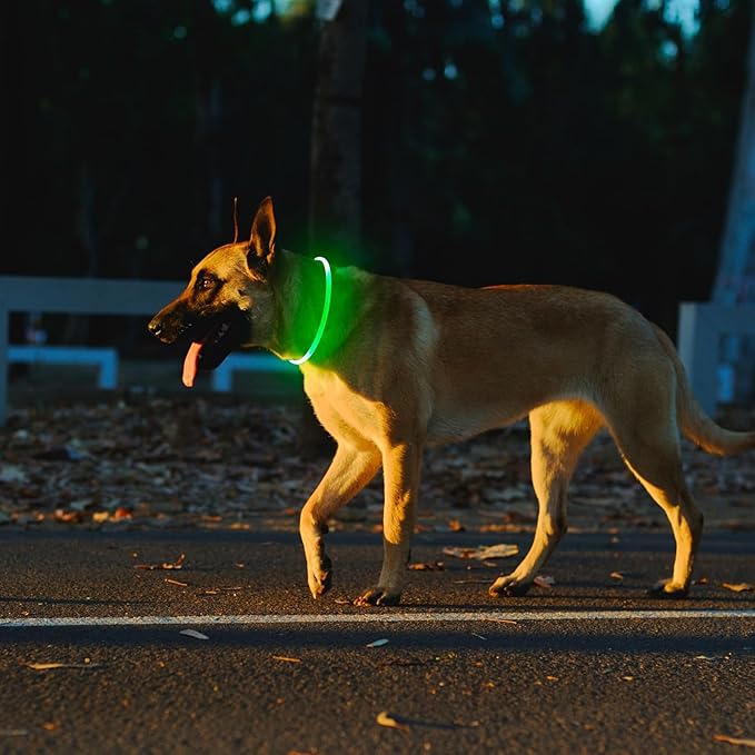 2 Packs Light Up Dog Collar, LED Dog Collar, USB Rechargeable Dog Lights for Night Walking
