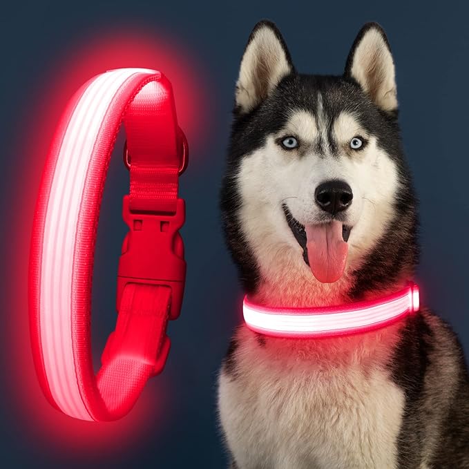 YFbrite Light up Dog Collar, USB Rechargeable LED Puppy Collar Super Bright Adjustable Glowing Dog