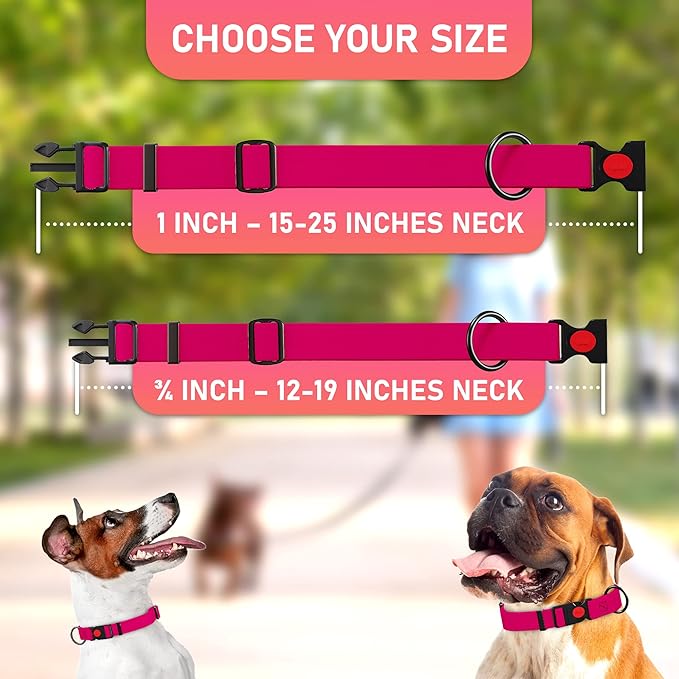 Adjustable Dog Collar with Safety Lock Buckle - Made in USA - Honeycomb Waterproof Heavy Duty Dog
