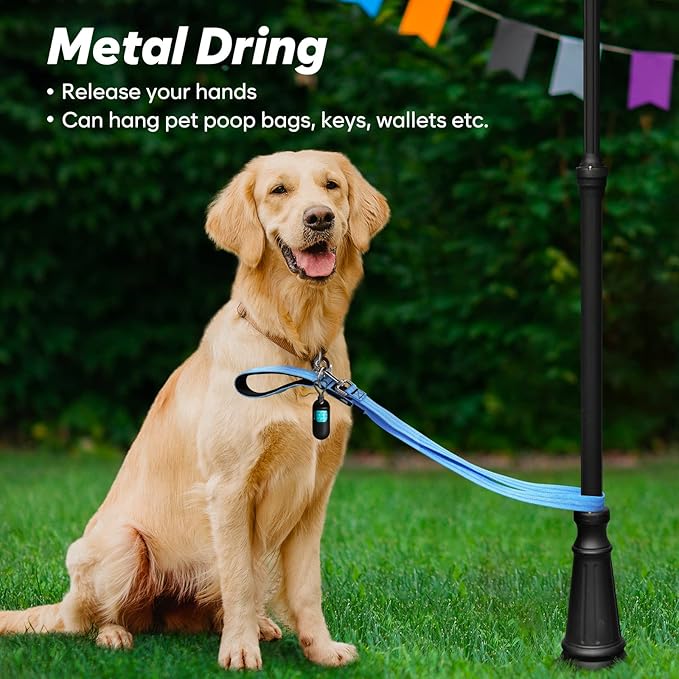 4 Ft LED Dog Leash, Rechargeable Light Up, Waterproof, Glow In The Dark, Nylon Reflective With