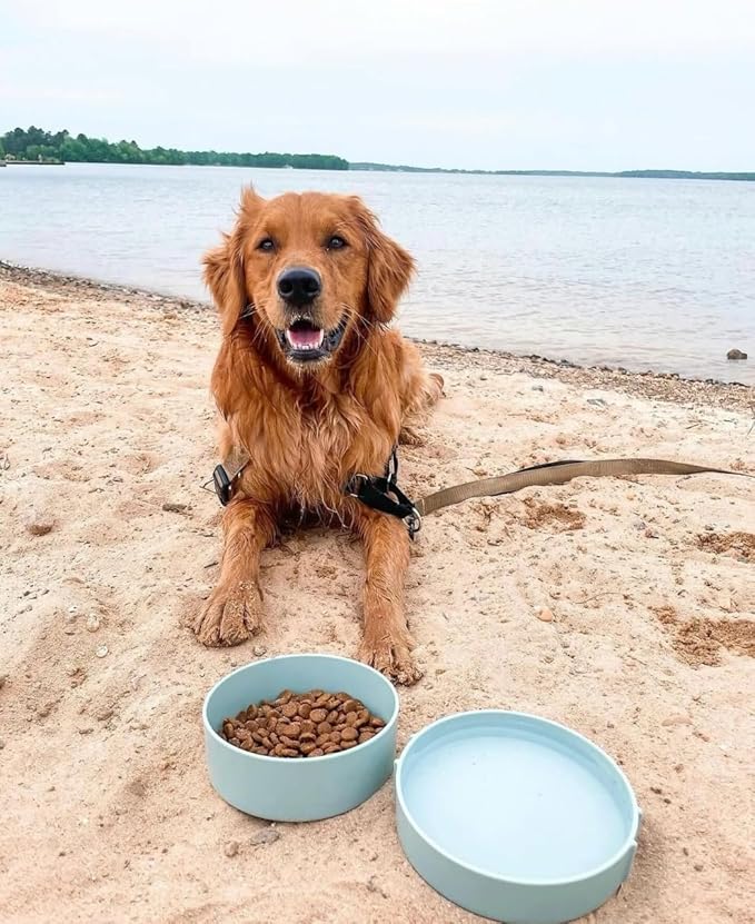 Barkin??Trails Travel Dog Bowls, Portable Outdoor Water, BPA-Free Water Bowl Set, Food Grade
