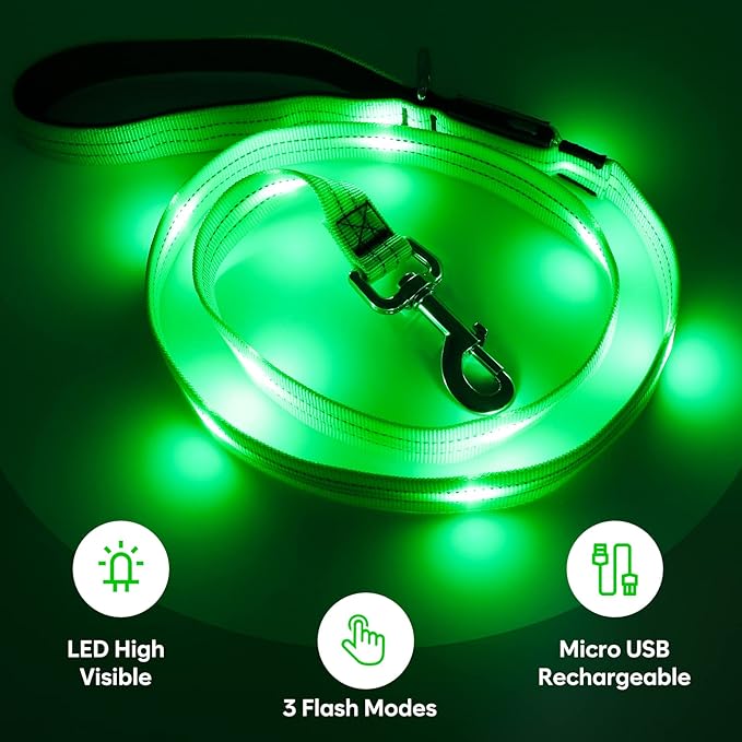4 Ft LED Dog Leash, Rechargeable Light Up, Safety Glow in The Dark, Nylon Reflective with Padded