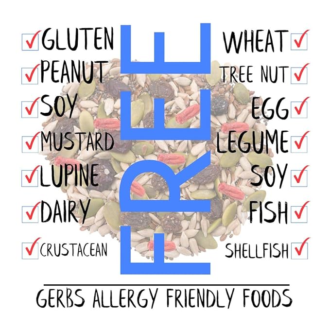 GERBS Superfood Snack Mix 2 LBS. | Top 14 Food Allergy Free | Bulk Bag | Made USA | Raw Pumpkin
