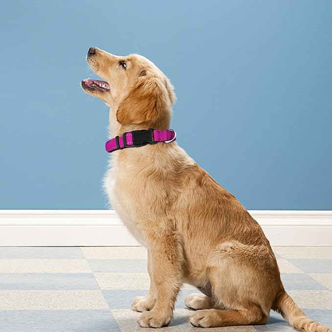 Reflective Dog Collar, Adjustable Soft Neoprene Padded Nylon Pet Collars with Buckle for Small