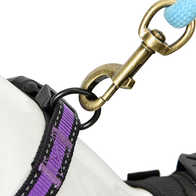 Mile High Life Dog Collar | Nylon Reflective Dog Collars | Light Weight Puppy Collars | Purple Dog