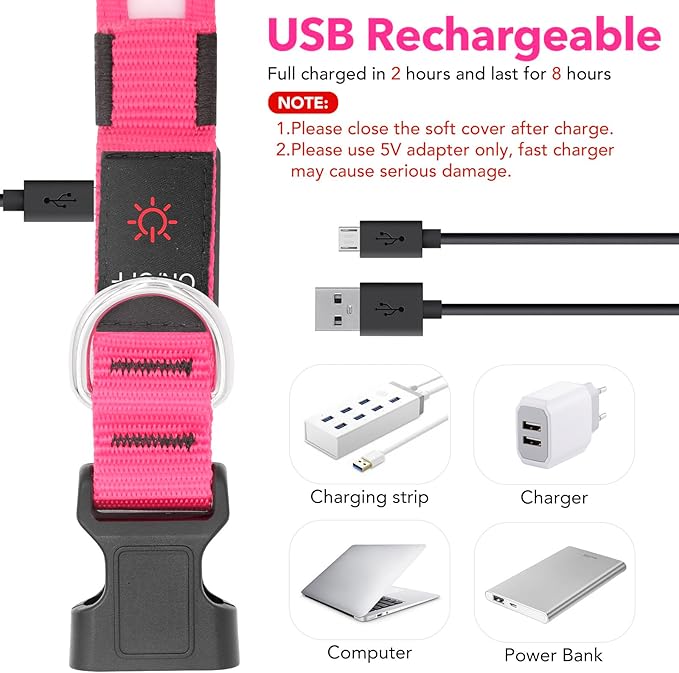 Vizpet LED Dog Collar, Light Up Dog Collar Adjustable USB Rechargeable Super Bright Safety Light