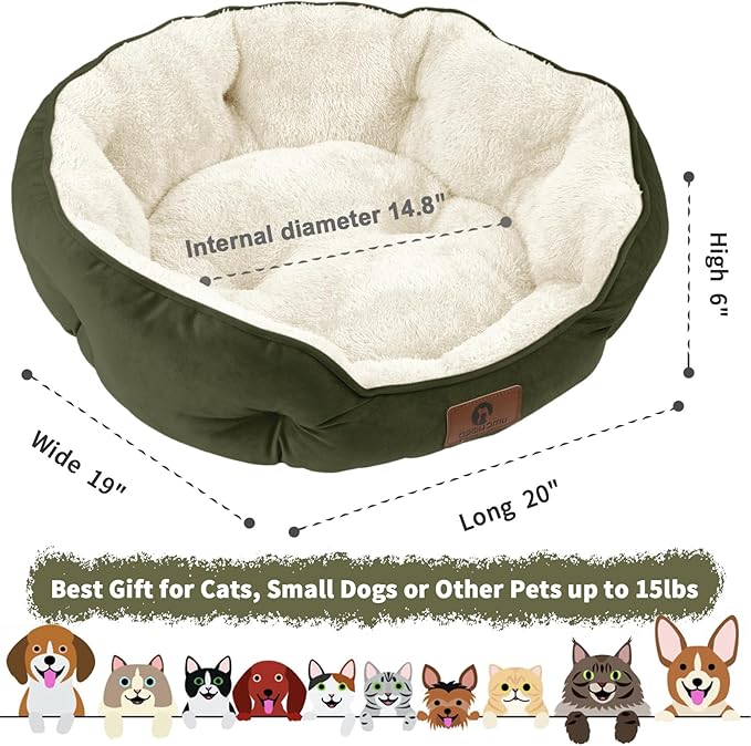 Asvin Small Dog Bed for Small Dogs, Cat Beds for Indoor Cats, Pet Bed for Puppy and Kitty, Extra