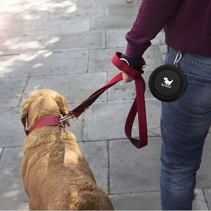 Collapsible Dog Bowls for Travel, 2-Pack Dog Portable Water Bowl for Dogs Cats Pet Foldable Feeding