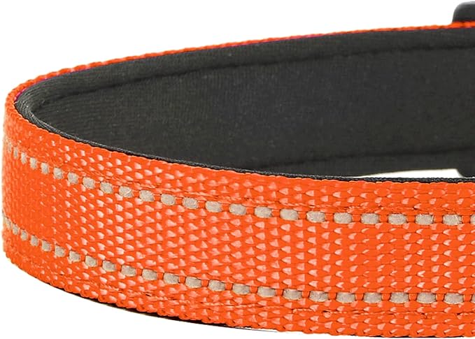 Reflective Dog Collar, Adjustable Soft Neoprene Padded Nylon Pet Collars with Buckle for Small