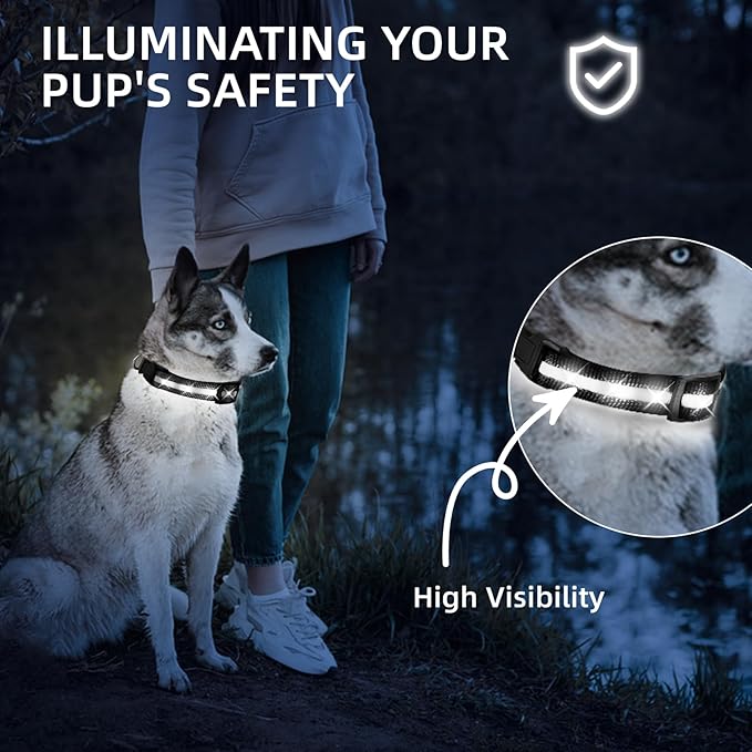 Super Bright LED Dog Collar - Fully Waterproof & Adjustable Glow Collar - USB-C Rechargeable for