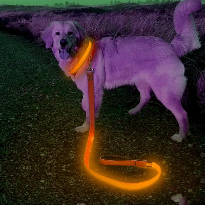 Candofly LED Dog Leash Rechargeable, 4 Ft Glow in The Dark Light Up Dog Leash, Nylon Reflective Dog