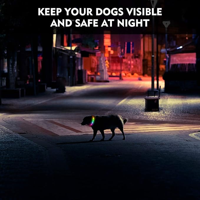 LED Dog Collar, Rechargeable RGB Color Changing Light Up Dog Collars, Waterproof Dog Lights Make