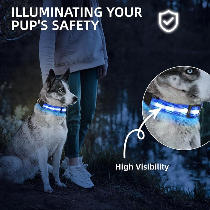 Super Bright LED Dog Collar - Fully Waterproof & Adjustable Glow Collar - USB-C Rechargeable for
