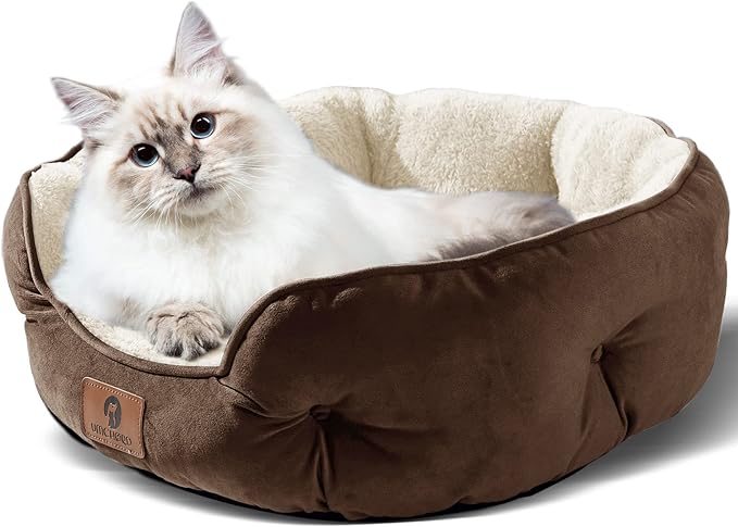 Asvin Medium Dog Bed for Medium Dogs, Cat Beds for Indoor Cats, Pet Bed for Puppy and Kitty, Extra