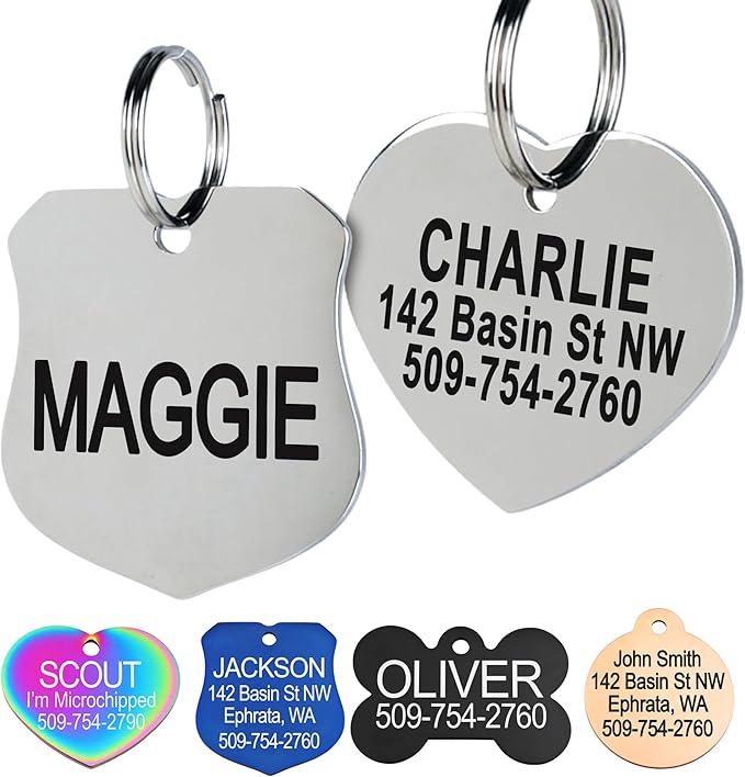 GoTags Stainless Steel Pet ID Tags, Personalized Dog Tags and Cat Tags, up to 8 Lines of Custom