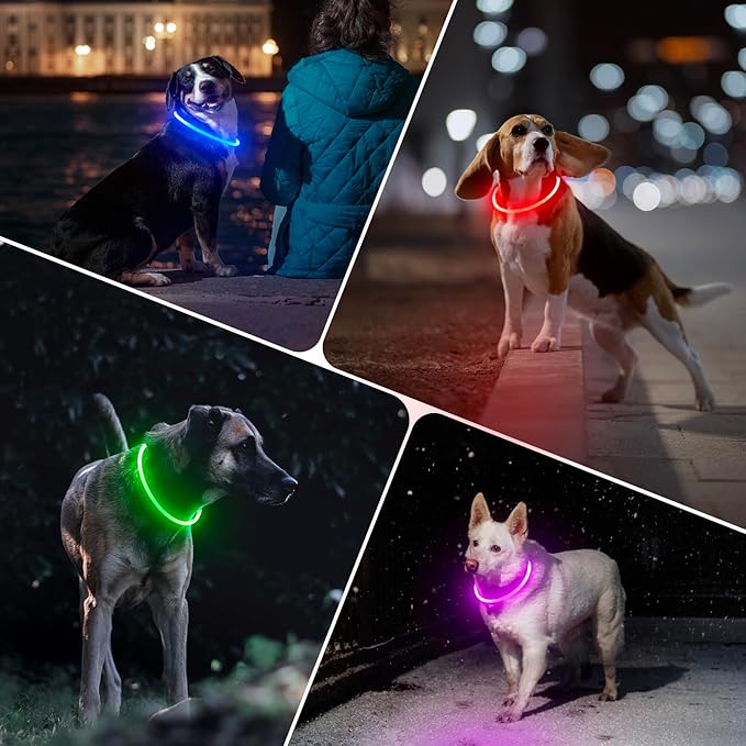 BSEEN Light Up Dog Collar - LED Dog Collar Rechargeable, Glowing Pet Collars for Small Medium Large