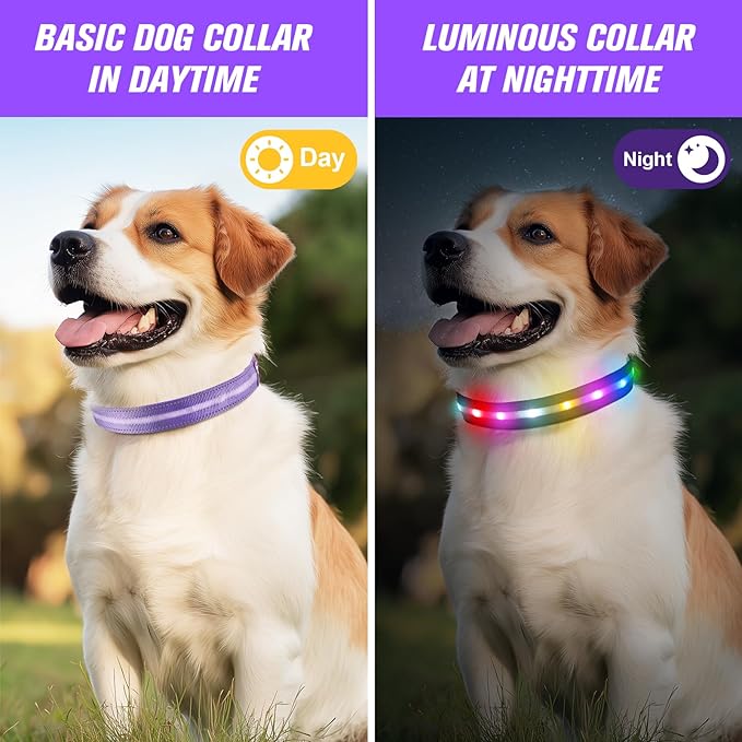 LED Dog Collar, Light Up Dog Collar, USB Rechargeable - Brightest Dog Lights for Night Walking, 6