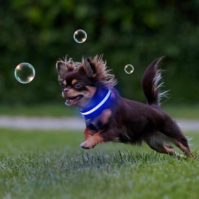 Flashseen LED Cat Collar,Light Up Dog Collar Rechargeable, Dog Lights for Night Walking